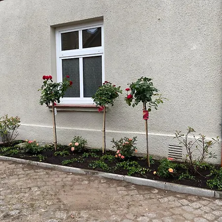 Apartment Kleines Am Schlossparkcenter Schwerin (Mecklenburg-Vorpommern)